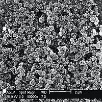 Scanning electron micrograph of a zeolite A layer on aluminium foil. The spherical zeolite A particles in the nanometre range are clearly visible.